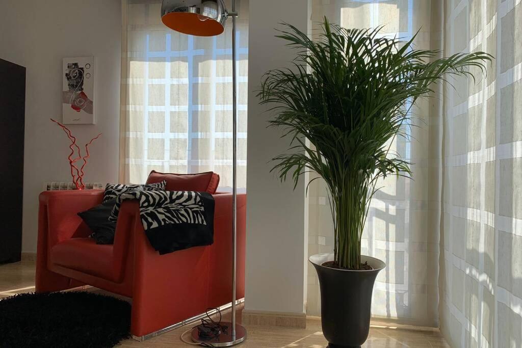 Apartamento Miramar . Amplitud Y Comodidad アルマソーラ エクステリア 写真