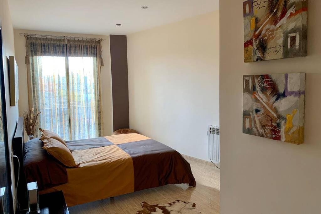 Apartamento Miramar . Amplitud Y Comodidad アルマソーラ エクステリア 写真